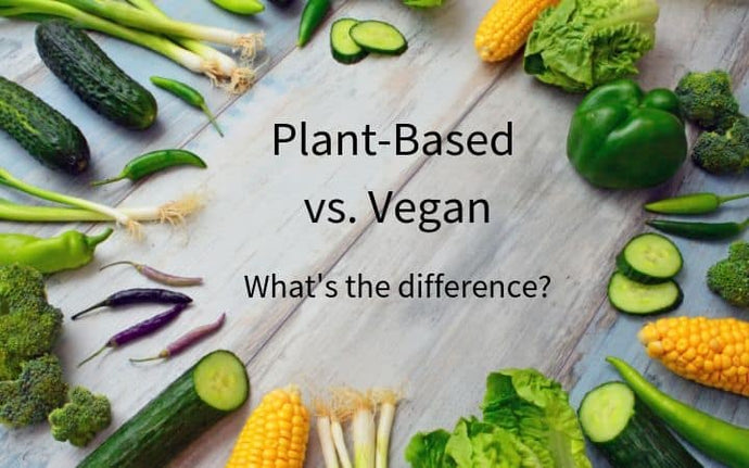 Vegan Diet vs. Plant-Based