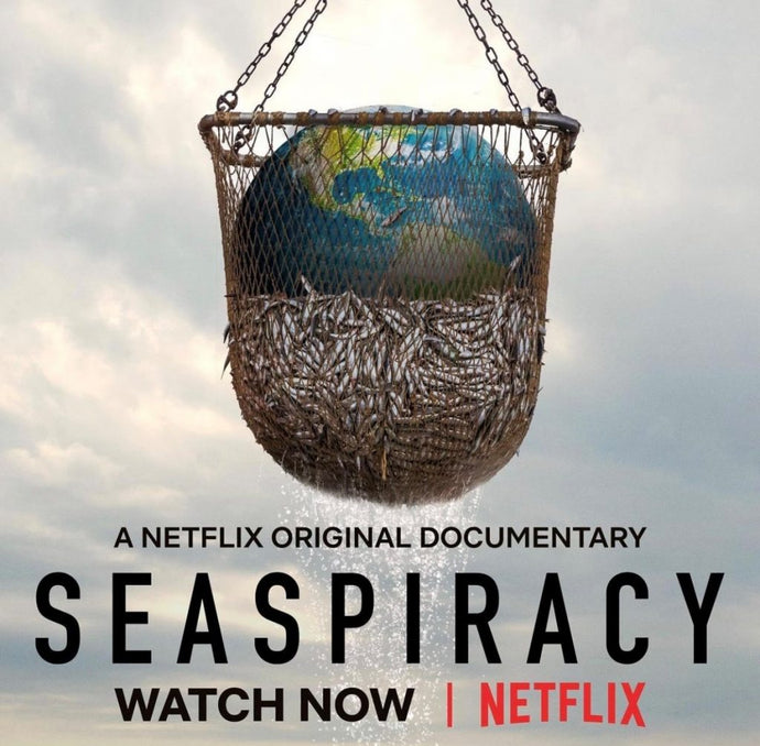 ‘Seaspiracy’ Documentary Summarised