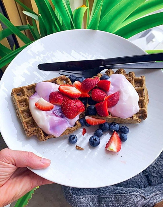 Gourmet Protein Waffles